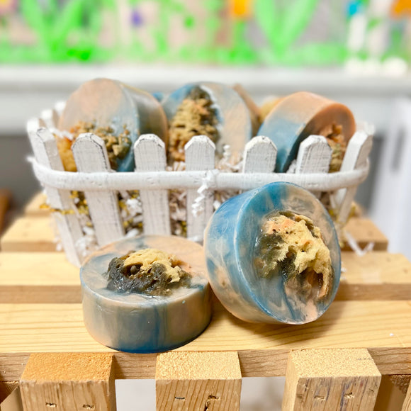 Sea Sponge Bar - Coconut Mango